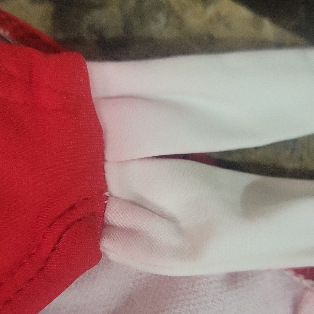 Wisconsin Badgers Bikini - Picture 4 of 9